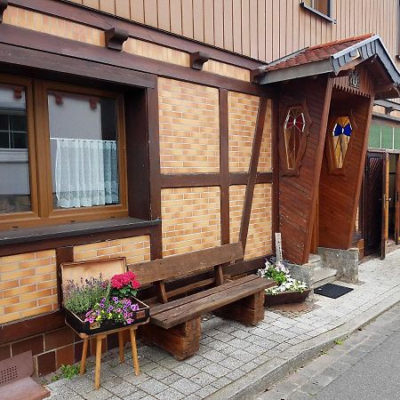 Ferienwohnung Am Kurpark Hasselfelde Zewnętrze zdjęcie