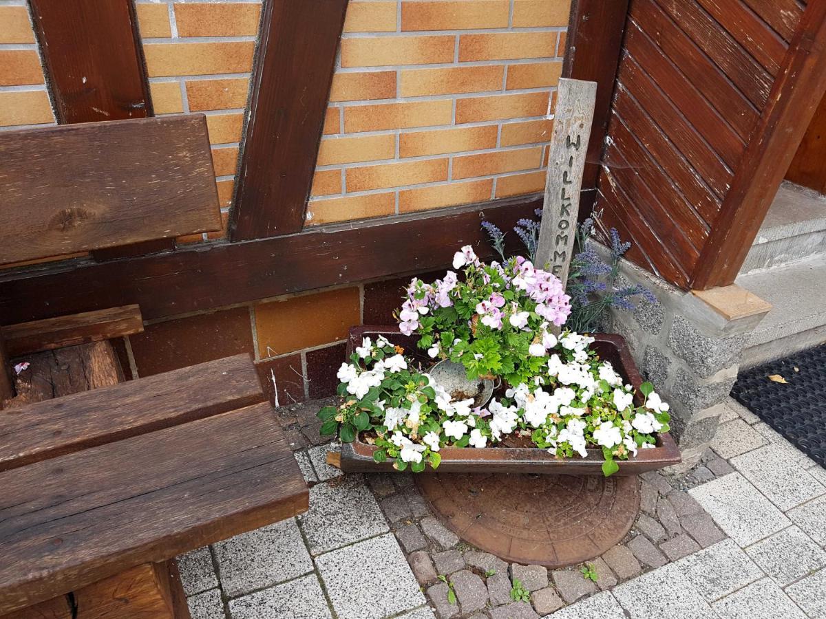 Ferienwohnung Am Kurpark Hasselfelde Zewnętrze zdjęcie
